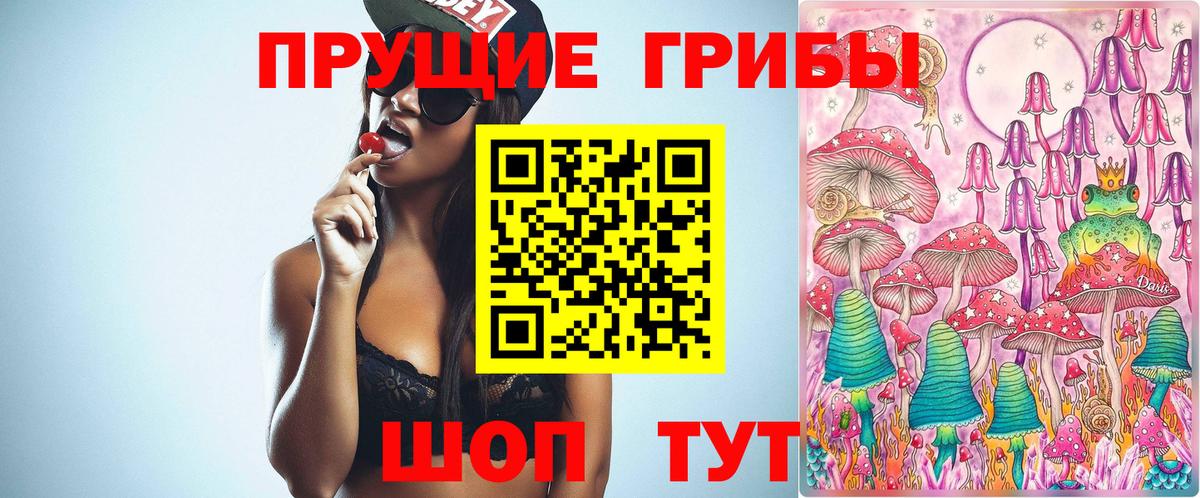 Галлюциногенные грибы Psilocybine cubensis Отрадное
