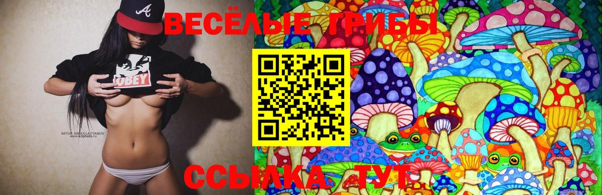 Отрадное  Псилоцибиновые грибы Psilocybe  наркотики  Вход с VPN  Галлюциногенные грибы мицелий 